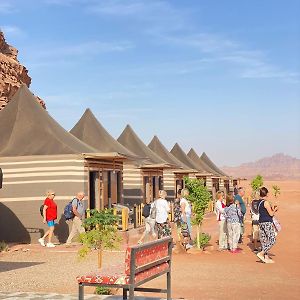 Shaheen Camp Wadi Rum